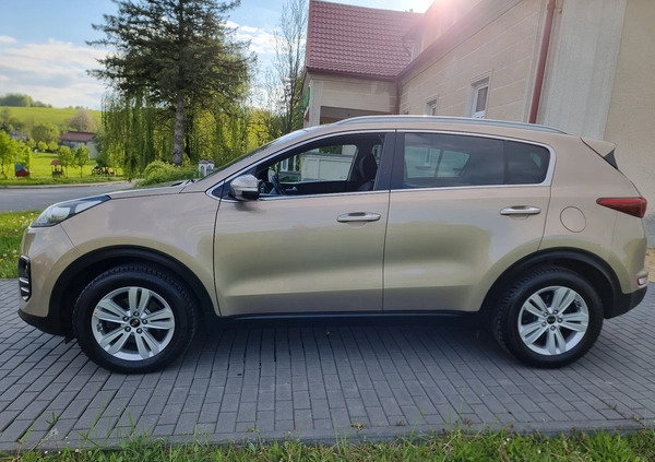 Kia Sportage cena 68900 przebieg: 104000, rok produkcji 2016 z Strzelce Opolskie małe 466